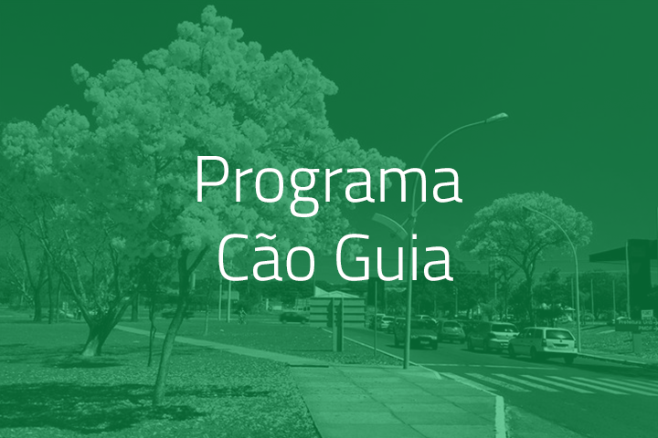 Governo do Distrito Federal