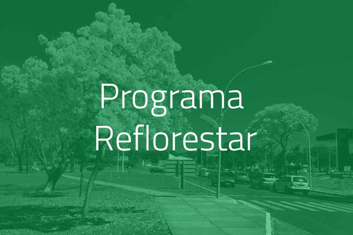 Governo do Distrito Federal