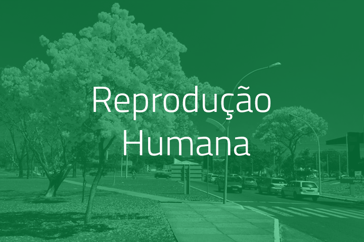 Governo do Distrito Federal
