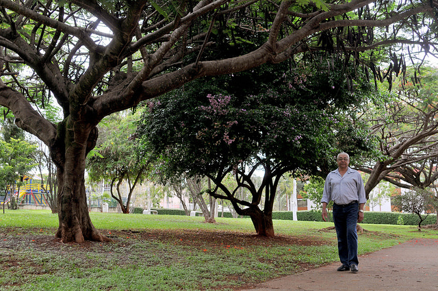 Na foto, um homem passeia pelo parque